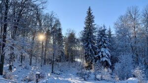 Om vinteren ligner Boafall-lodgen et eventyr