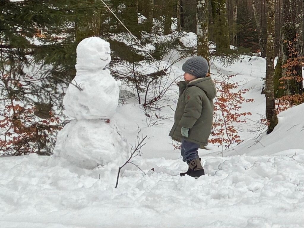 Snowman Boafall Lodge Ferienhaus Südschweden