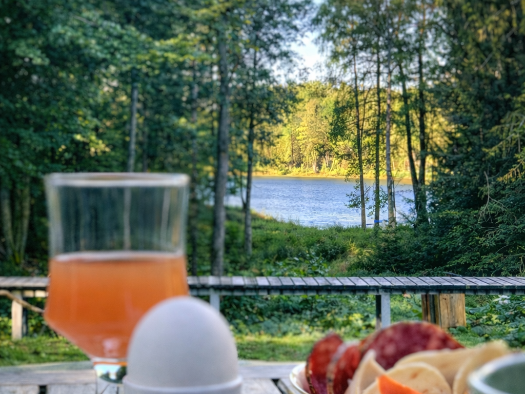 Sommerhus-Sydsverige-Boafall-Lodge-Moaglyt