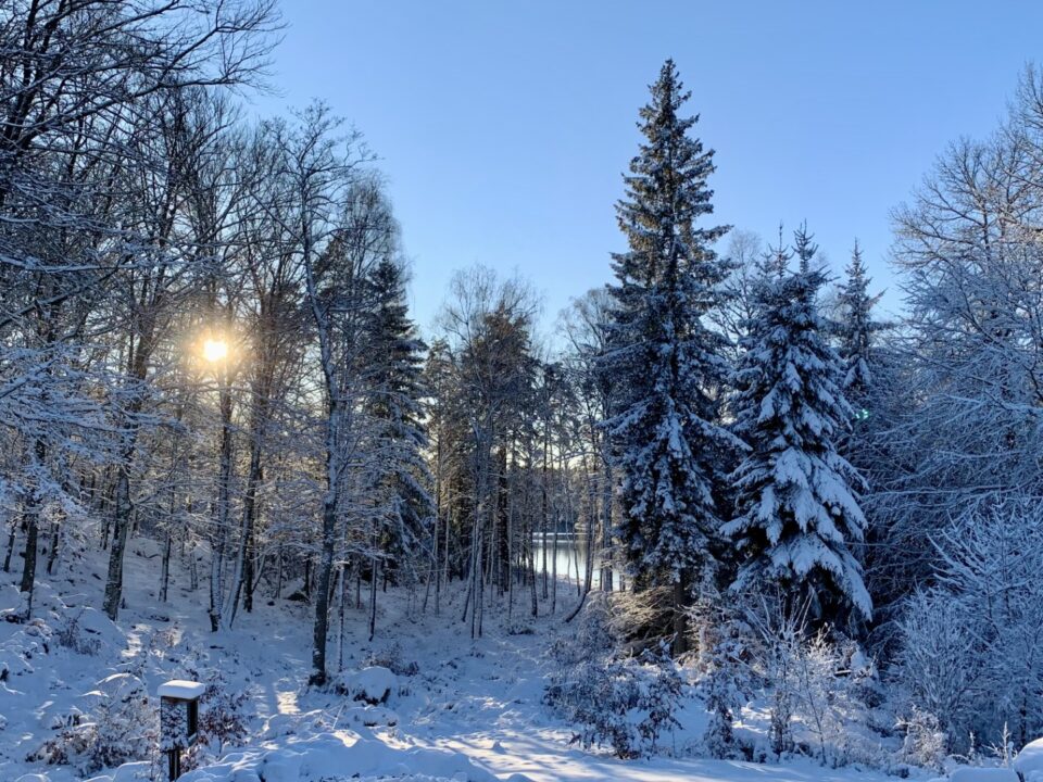 Winteransicht Boafall