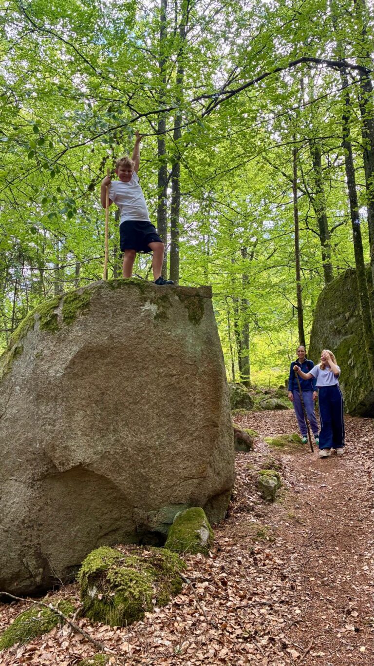 Der Wald_Naturpark_Spaziergänge_Ferienhaus_Südschweden