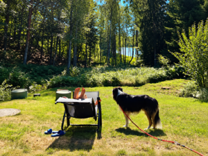 Entspannung_im_Ferienhaus_in_Südschweden
