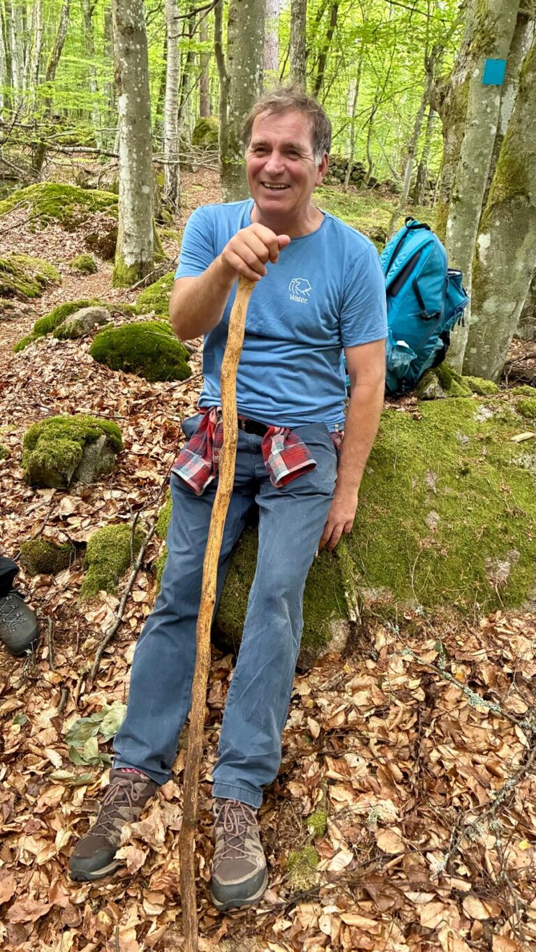 Spaziergang im Wald – Ferienhaus in Südschweden II
