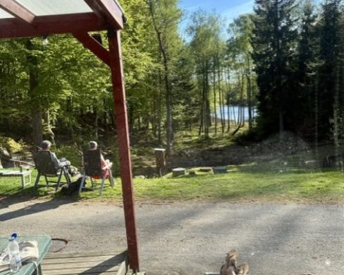 Holiday home_southern Sweden_Boafall Lodge_Solen